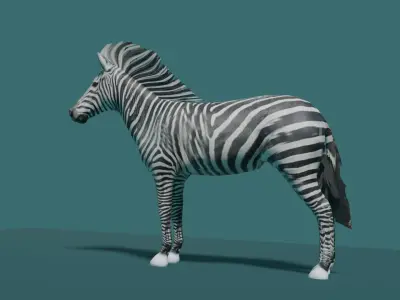 ZEBRA Low-poly 3D model buy