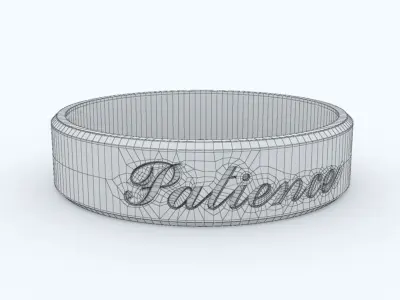 Patience Ring Platinum 3D print model