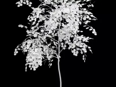 Birch Tree With White Leaves Low-poly 3D model