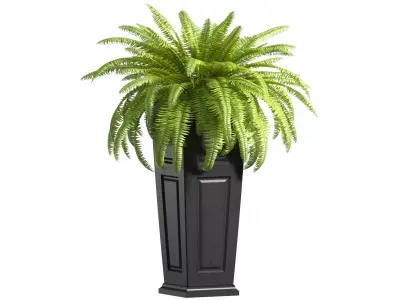 Boston Fern in a ArtDeco flowerpot Plant Front Entrance Patio  3D model
