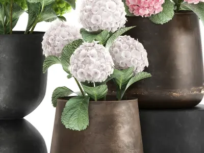 Hydrangea in a rusty Flowerpot for the interior 987 3D model