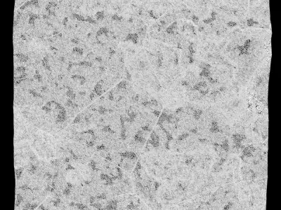 362-RockPanel piece of rock on wall 3D model