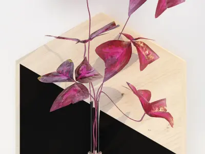 HAnging 2 hexagon vase with plant in it 3D model