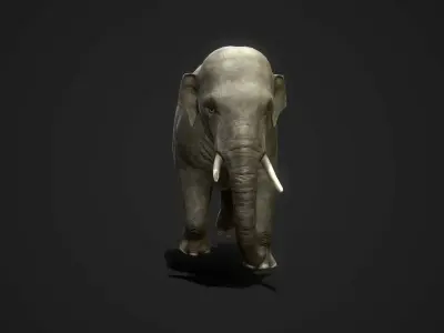 Asian Elephants - GameReady Low-poly 3D model