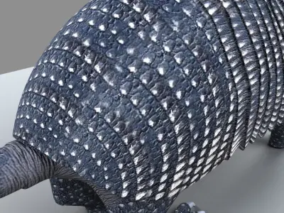 Armadillo 3D model