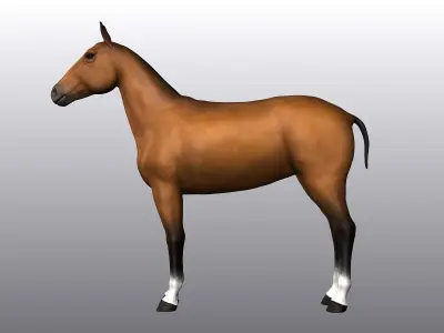 Horse Low-poly 3D model