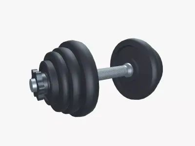 Exercise Metal Dumbbells  Low-poly 3D model