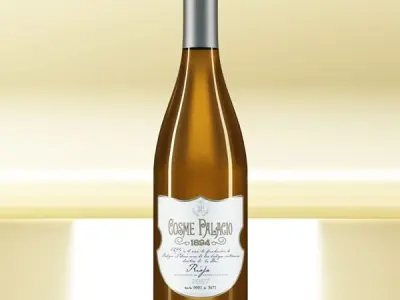 6 Wine Bottles Collection 3D model