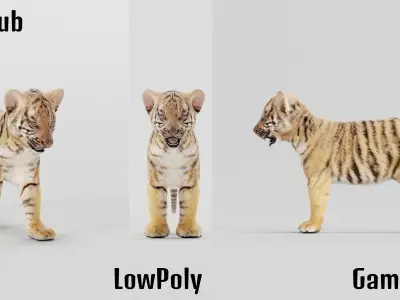 Baby Tiger Cub Animal Low-poly 3D model