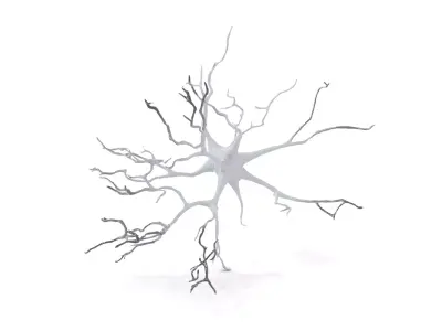Neuron Network Organic model pack Low-poly 3D model