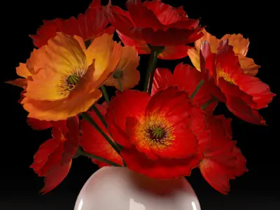 RED POPPIES FLOWERS 3D model