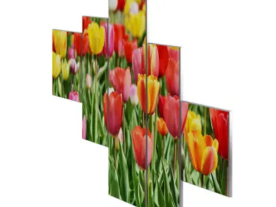 Flower Wall Pictures 3D model