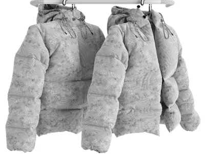 Jacket Moncler Isadora on a Hanger 3D model