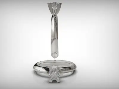 rings 3D print model 22