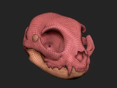 House Cat 3D Scan Custom Texture Separate Jaw 3D model