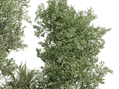 outdoor plant set 180 plant palm tree grass vase dirty concrete Low-poly 3D model