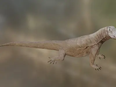 Komodo Idle Animation Low-poly 3D model