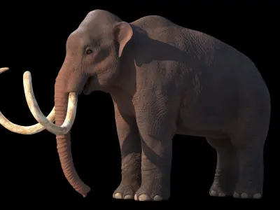 Columbian Mammoth - Mammuthus Columbi 3D model