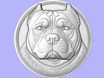 MOEDA PITBULL 3D model