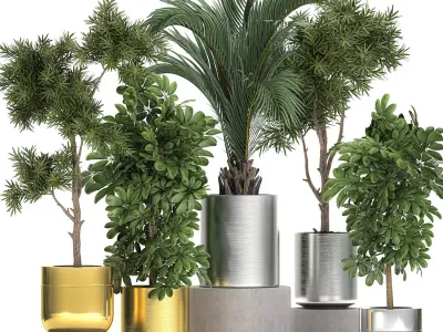 Ornamental plants in a chrome flowerpot 784 3D model