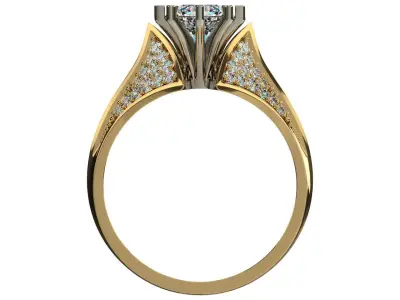 Ring 0217 3D print model