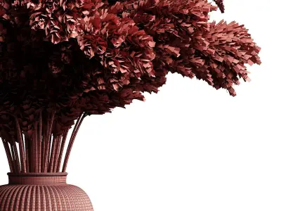 Pampas in pot 3D model
