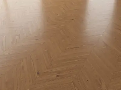 Parquet Oak Nut WWL set 1 3D model