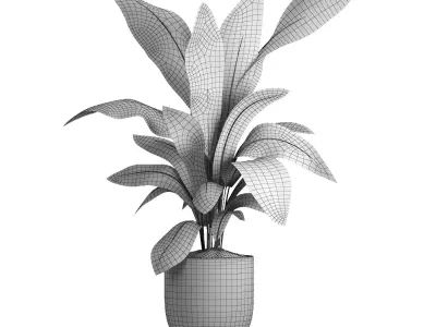 indoor plant 050 3D model