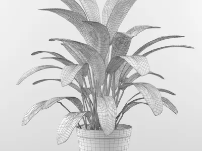 indoor and outdoor plant set   3D model