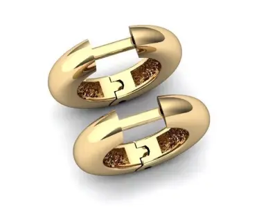 Luxurious Earrings 3D model