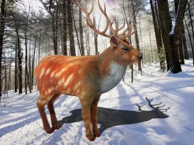 Fur Red Deer Stag NO RIG Low-poly 3D model