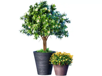 Decorative garden tree shrub flowerbed floor-mounted pot vase  3D model