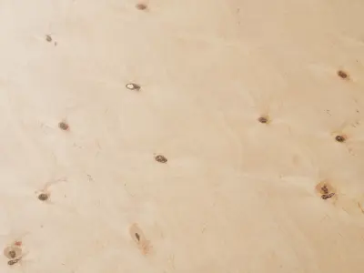 Plywood 02 Texture