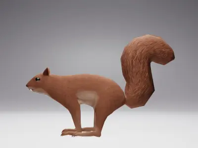 Low Poly Squirrel 3D model with texture and Rigg Low-poly 3D model