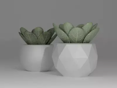 Free Succulent Plant in Low Poly Pot   PBR Texture Game Ready Free 3D model