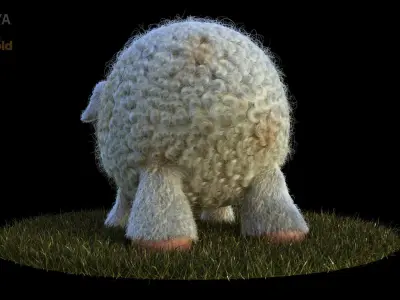 Sheep Dog for production render in Maya 2018 Arnold 3D model