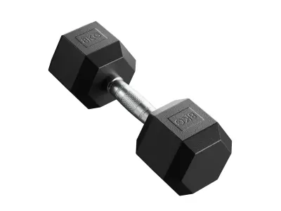 8 Kg Dumbbell 3D model