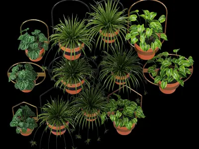 Wall Planters 3D model