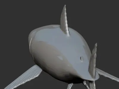 White Shark 3D print model