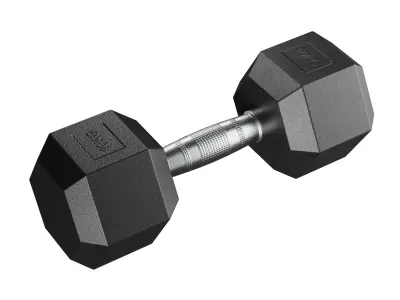 10 Kg Dumbbell 3D model