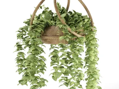 boho-hanging-plants 3D model