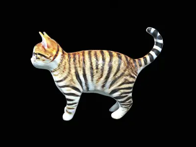 Awesome Cat 3D model