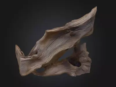Desolate Driftwood Low-poly 3D model