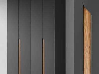 Wardrobe  Cabinet Furniture by DrCG Model No 34 3D model