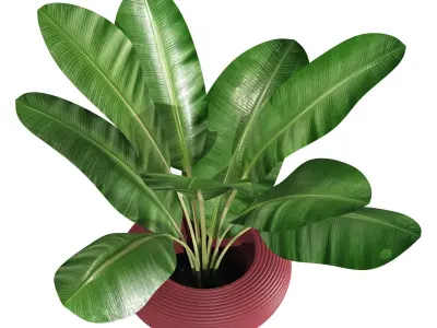 qeeboo nami planter 3D model