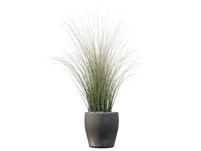 Grass artificial plant in vase 3D model