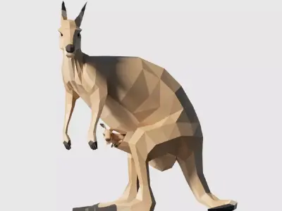 Kangaroos kangaroo Low-poly 3D model