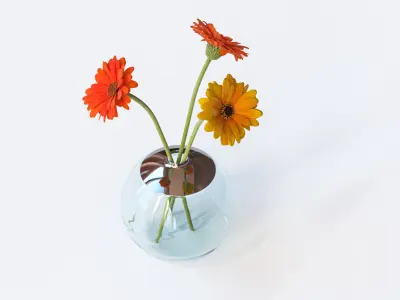 Gerberas in the sphere vase 3D model