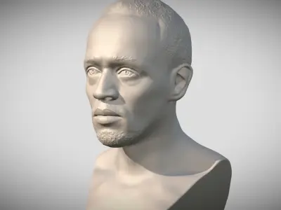 Usain Bolt bust 3D print model
