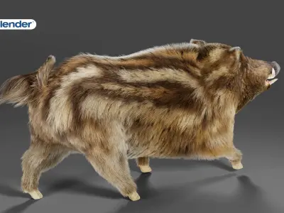 Fur Wild Boar V03 Rigged  Low-poly 3D model